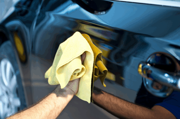 remover insetos grudados no carro